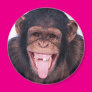 Laughing Monkey Refrigerator Magnet Laughing Monkey Refrigerator Magnet