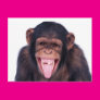 Laughing Monkey Postcard Laughing Monkey Postcard