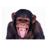 Laughing Monkey Postcard