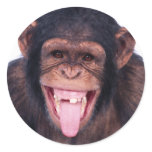 Laughing Monkey Stickers