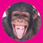 Laughing Monkey Stickers