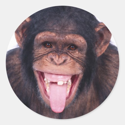 Laughing Monkey Stickers