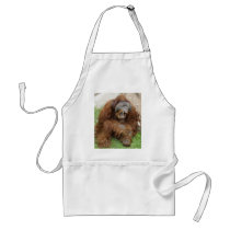 Laughing Orangutan Apron