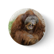 Laughing Orangutan Pinback Button
