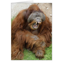 Laughing Orangutan Cards