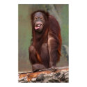 Laughing Orangutan posters