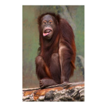 Laughing Orangutan posters