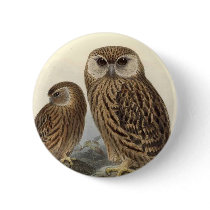 Laughing Owl Vintage Illustration buttons by GreatSkyPress Laughing Owl Vintage Illustration buttons