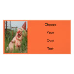 Laughing Pig Customized Photo Card