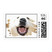 Laughing Pyrenees postage by ptvertible Laughing Pyrenees postage