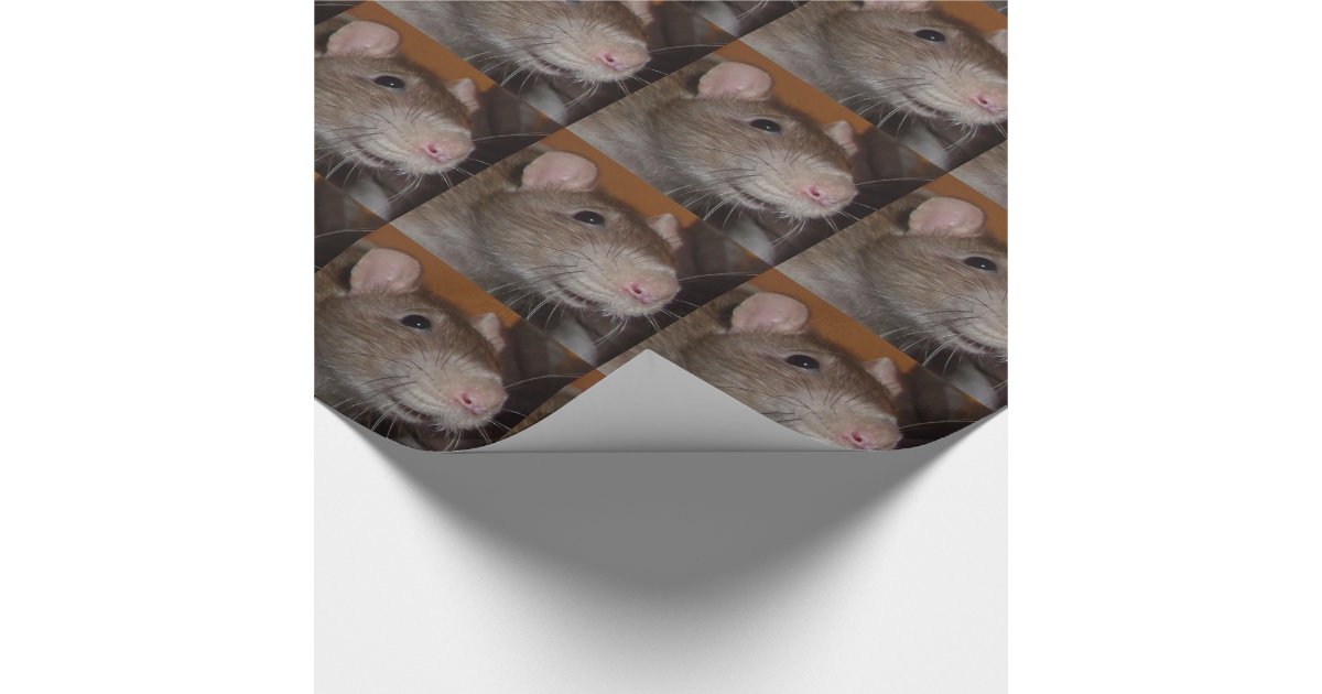 laughing rat wrapping paper Zazzle
