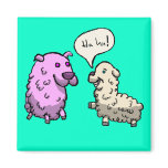 Laughing Sheep magnets
