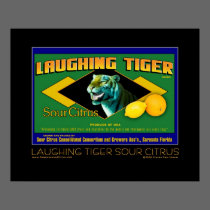 Laughing Tiger Sour Citrus fine art poster posters