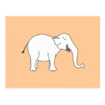 Laughing White Elephant. Postcard