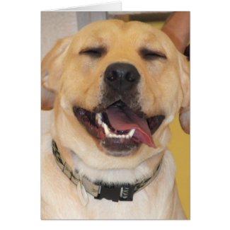 Laughing Yellow Labrador Greeting/Note Cards