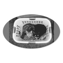 Laundry Basket Kitties Oval Stickers