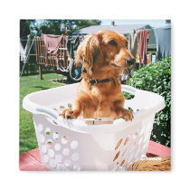 Laundry Day magnets by E_Studioz Laundry Day magnets