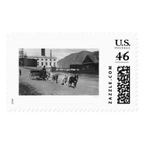 Laundry Dog Team Alaska 1904 Postage Stamps