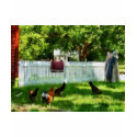 Laundry Hanging on Fence shirt