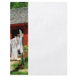 Laundry Hanging on Line Flyers