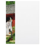 Laundry Hanging on Line Letterhead Design