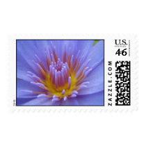 Laura Frase stamps