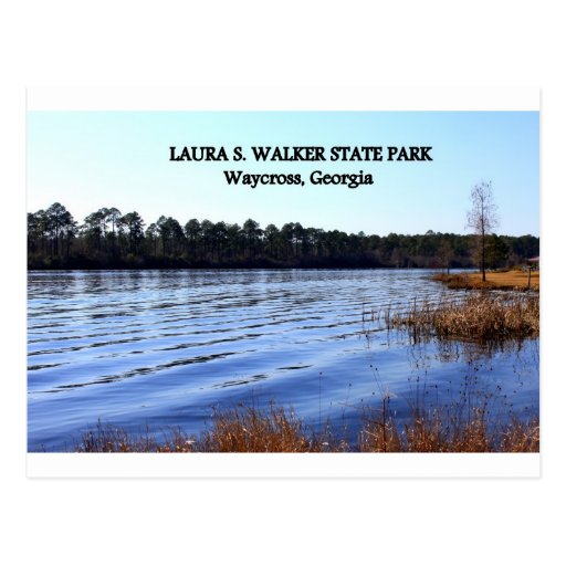 LAURA S. WALKER STATE PARK Waycross, Postcard Zazzle
