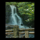 Laurel Falls posters