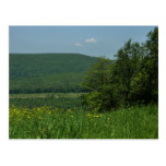 Laurel Highlands Postcard