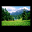 Lautersee Meadow Print