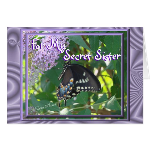 Lav-Bfly Secret Sister- customize Cards