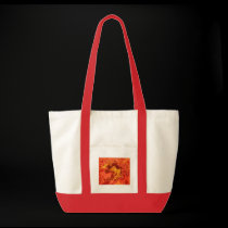Lava Bag