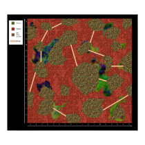 Lava Field - Battlemap Poster posters
