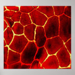 Lava Glow Background Posters