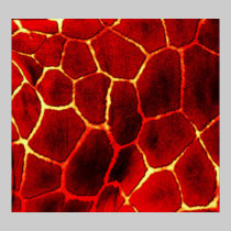 Lava Glow Background posters