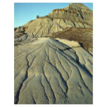 Lava Rocks In Death Valley Custom Flyer