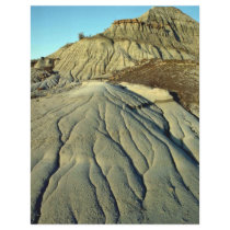 Lava Rocks In Death Valley Custom Flyer