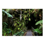 lava tube kilauea crater big island volcano posters