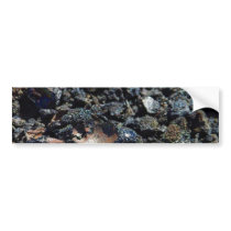 Lava Volcanos Iridescent Iridescence bumper stickers