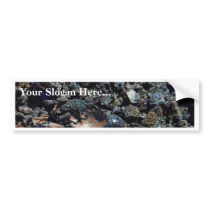 Lava Volcanos Iridescent Iridescence bumper stickers