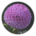 Lavander Dahlia stickers by ggbythebay Lavander Dahlia stickers