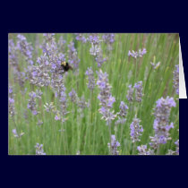 Lavander with Bee cards by ggbythebay Lavander with Bee cards