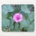 Lavatera in full bloom mouse pad Lavatera in full bloom mouse pad