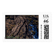 LavaTubeInWinter postage
