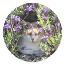 Lavendar cat stickers by ashroc Lavendar cat stickers