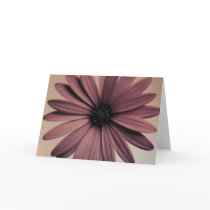Lavendar Daisy cards by Priscilla48 Lavendar Daisy cards