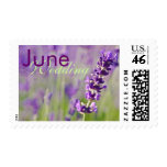 Lavendar • June Wedding Stamp