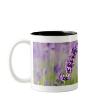 Lavendar | Lavendel Mugs