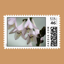 Lavendar Snowbells postage