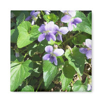 lavendar weeds magnets